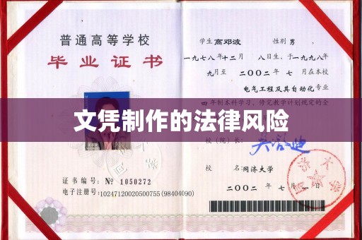 友谊文凭制作的法律风险